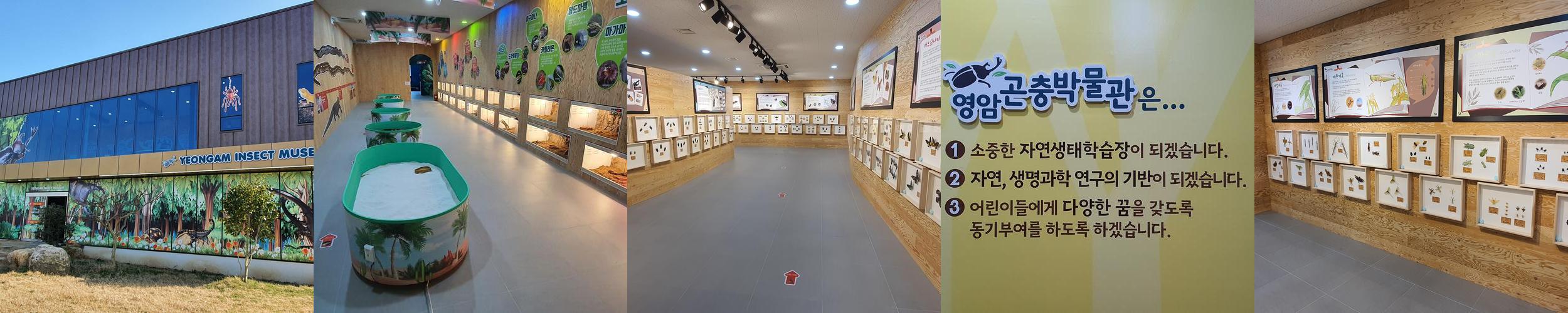 전남 갈만한곳 베스트 추천 리스트 TOP 10 전남 갈만한곳 베스트 추천 리스트 TOP 10