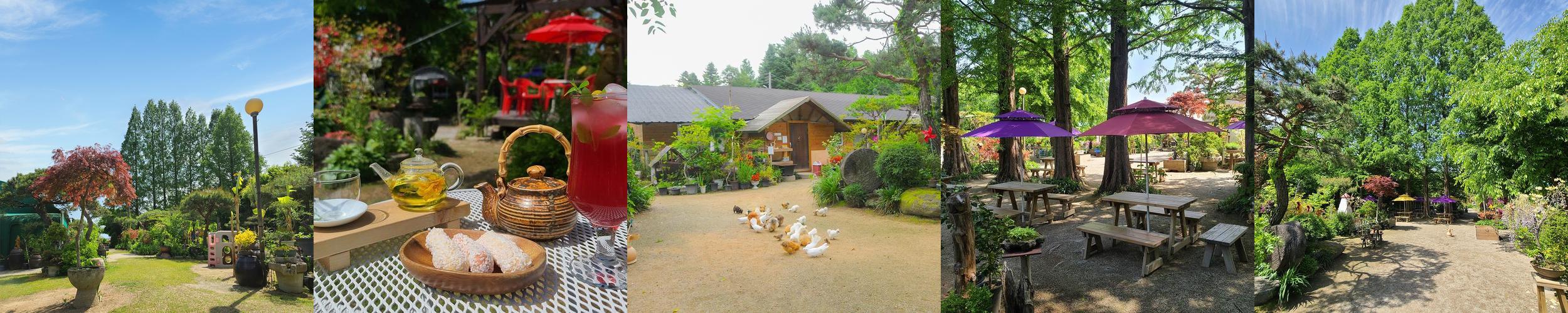 예천 가볼만한곳 베스트 추천 리스트 TOP 10