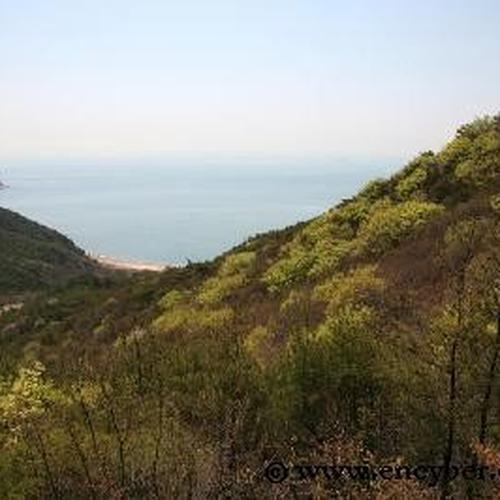 무의도 가볼만한곳 베스트 추천 리스트 TOP 10 무의도 가볼만한곳 베스트 추천 리스트 TOP 10