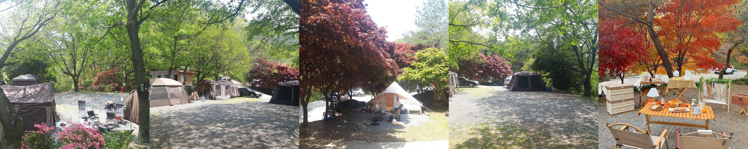 구례 가볼만한곳 베스트 추천 리스트 TOP 10