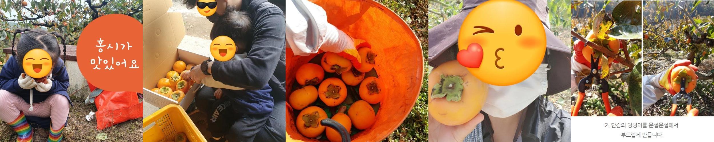 울주군 가볼만한곳 베스트 추천 리스트 TOP 10