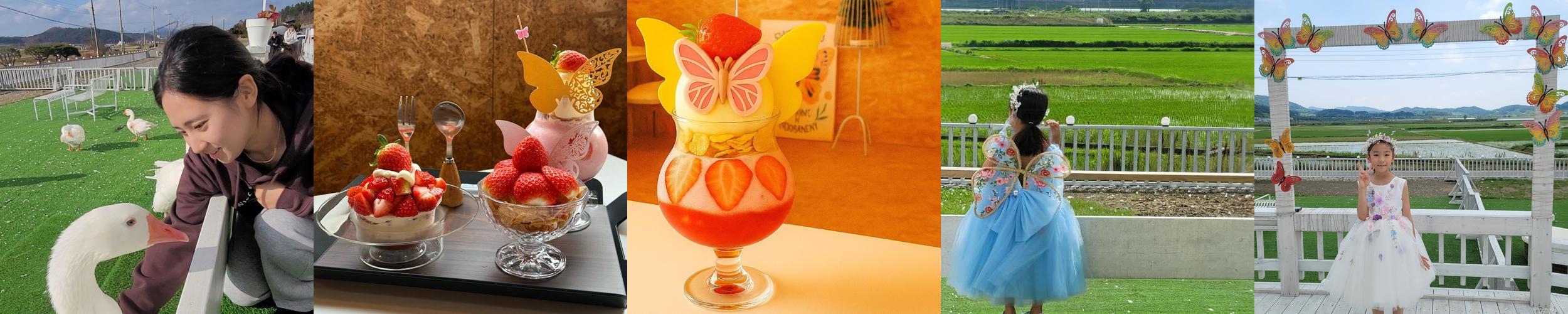 함평 가볼만한곳 베스트 추천 리스트 TOP 10