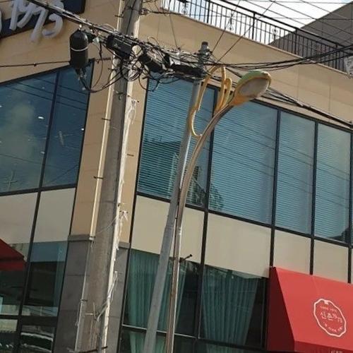 함평 가볼만한곳 베스트 추천 리스트 TOP 10