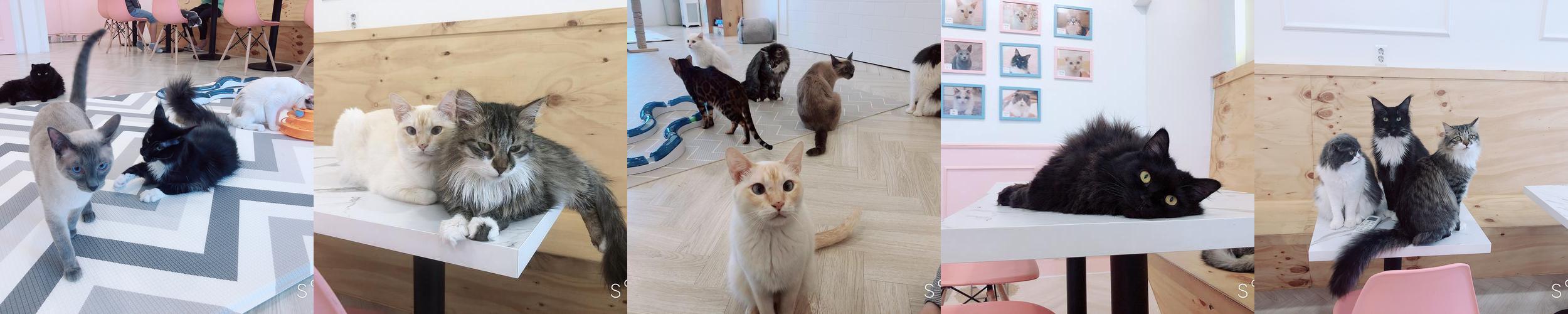 부천 이색데이트 베스트 추천 리스트 TOP 7