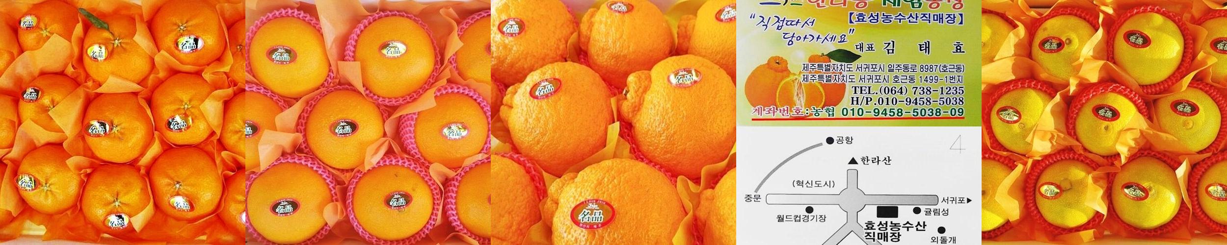 서귀포 놀거리 베스트 추천 리스트 TOP 10