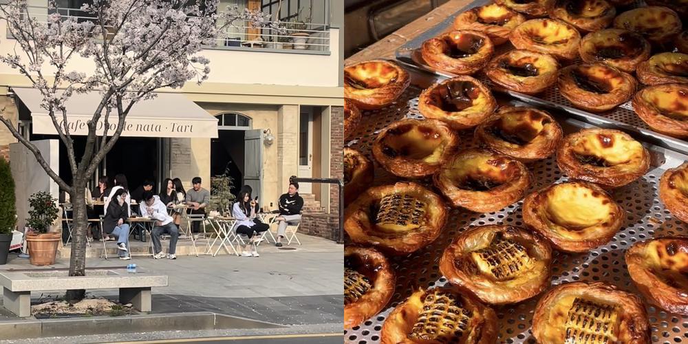 울산 가볼만한곳 베스트 추천 리스트 TOP 10 울산 가볼만한곳 베스트 추천 리스트 TOP 10