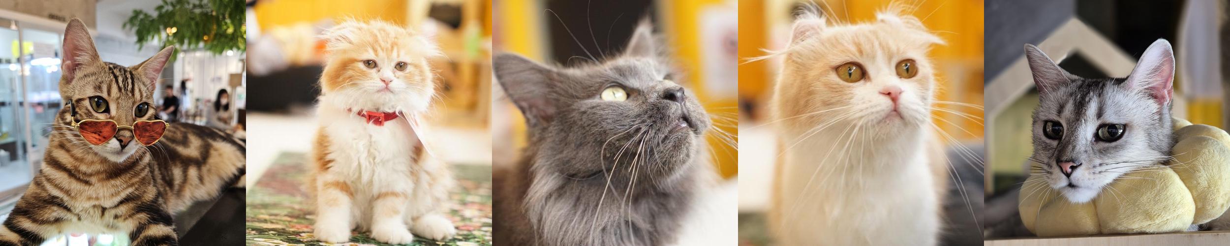 수원역 놀거리 베스트 추천 리스트 TOP 10