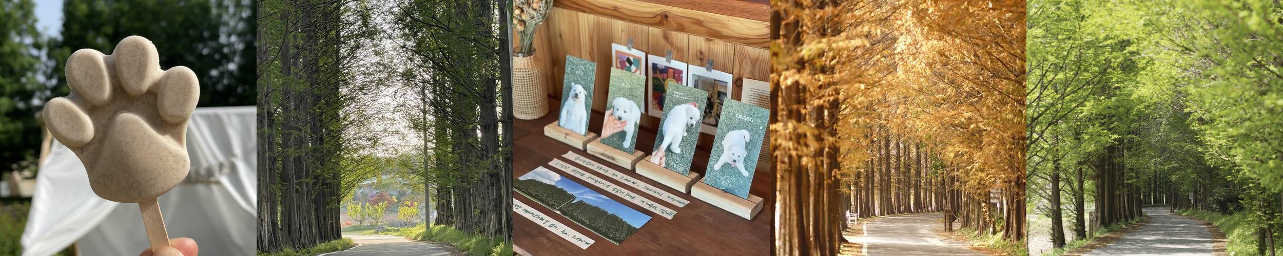 안성 가볼만한곳 베스트 추천 리스트 TOP 10