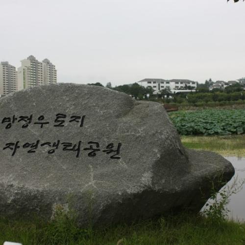 영천 가볼만한곳 베스트 추천 리스트 TOP 10