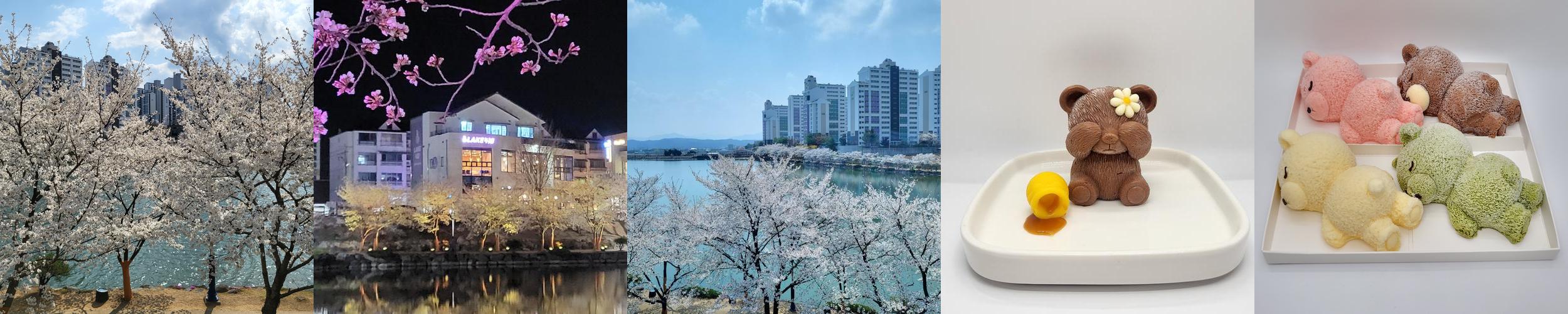 영천 가볼만한곳 베스트 추천 리스트 TOP 10