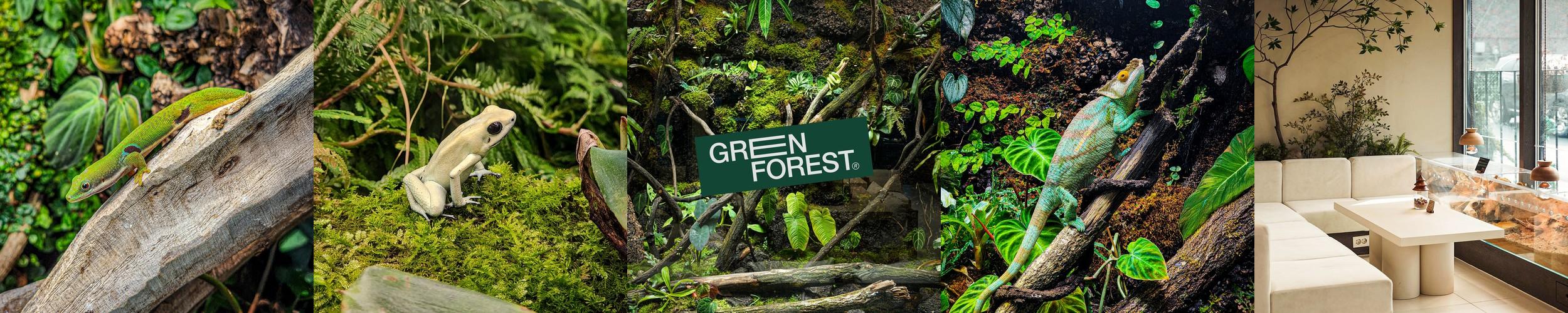 서울 체험 데이트 베스트 추천 리스트 TOP 10