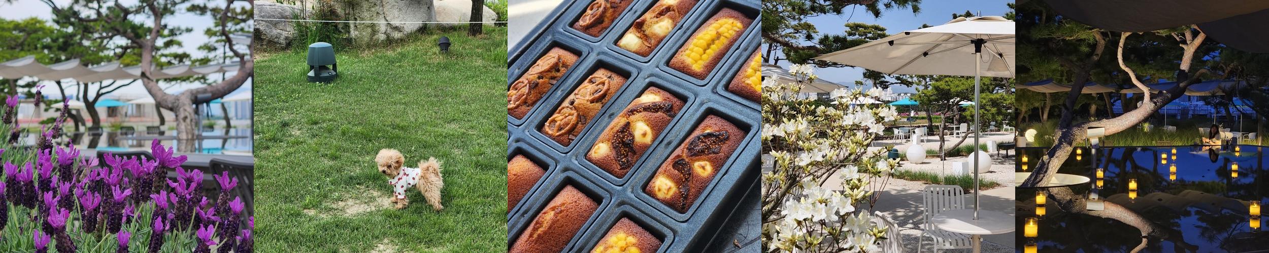 강원도 대형 카페 베스트 추천 리스트 TOP 10