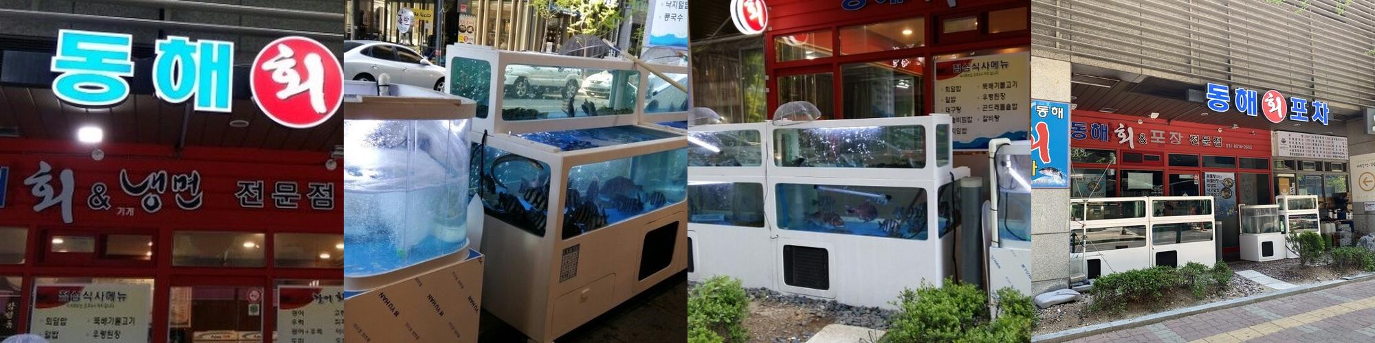 판교역 횟집 베스트 추천 리스트 TOP 10 판교역 횟집 베스트 추천 리스트 TOP 10