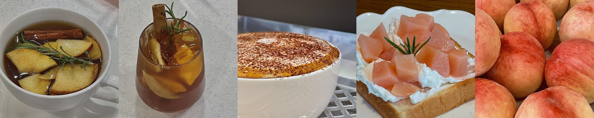 대전 애견동반 카페 베스트 추천 리스트 TOP 10