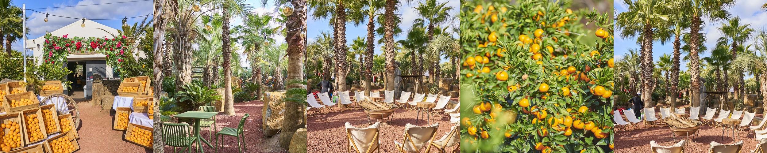 서귀포시 카페 베스트 추천 리스트 TOP 10 서귀포시 카페 베스트 추천 리스트 TOP 10