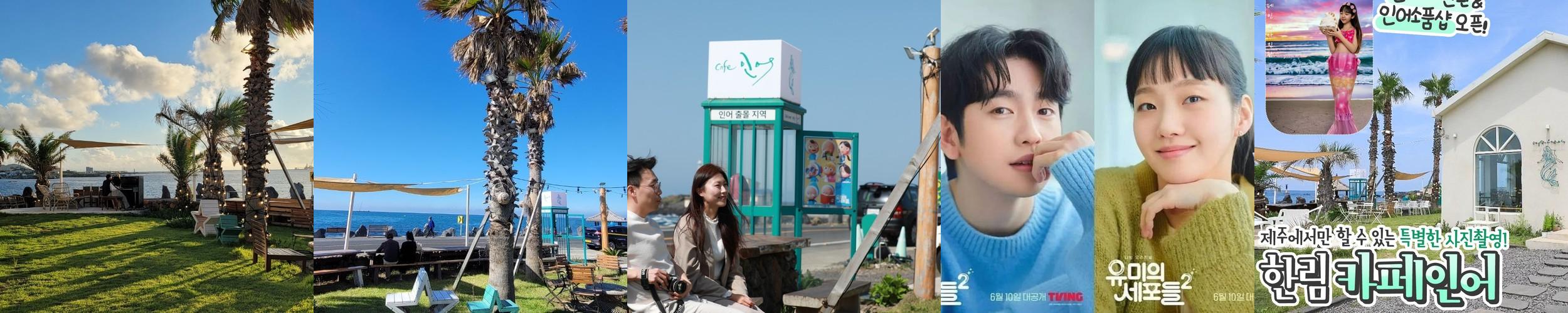 제주 한림 맛집 베스트 추천 리스트 TOP 10 제주 한림 맛집 베스트 추천 리스트 TOP 10