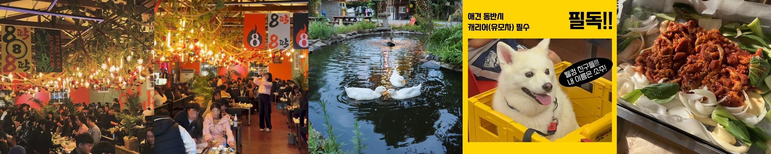 탑동 고기집 베스트 추천 리스트 TOP 10