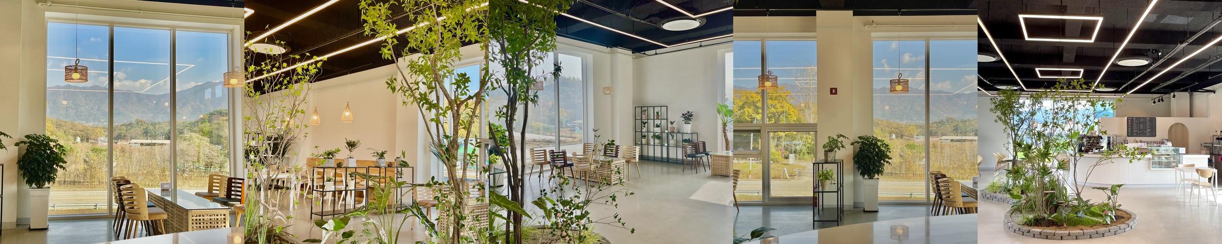 원주 봉산동 맛집 베스트 추천 리스트 TOP 10 원주 봉산동 맛집 베스트 추천 리스트 TOP 10