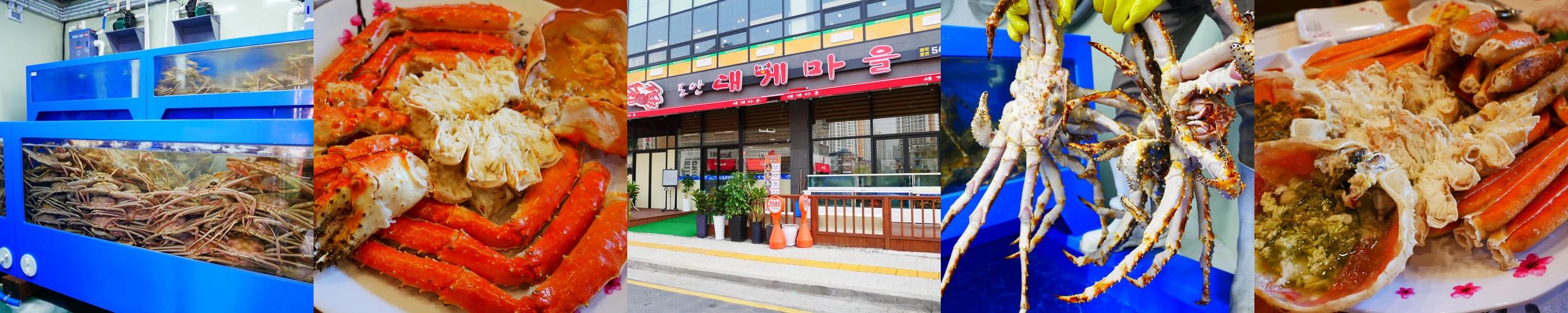 도안동 횟집 베스트 추천 리스트 TOP 10