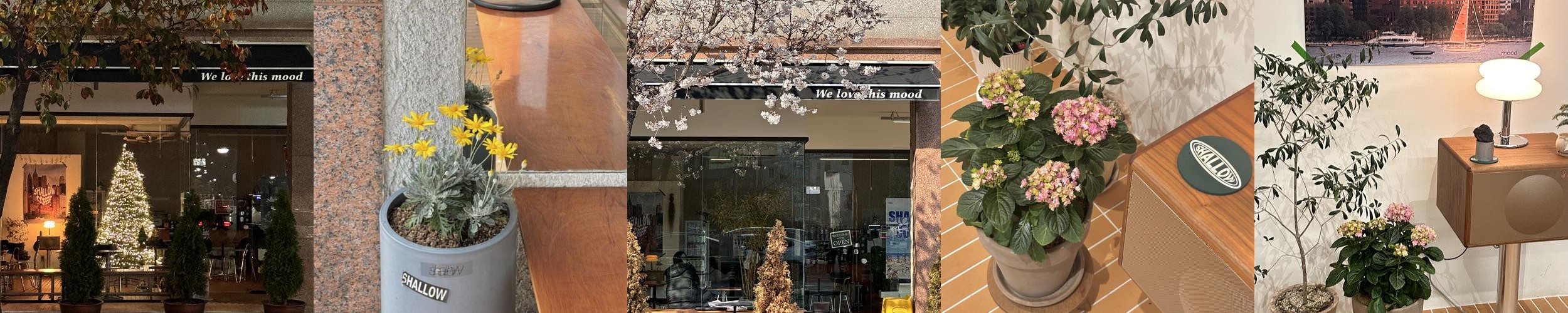 김포 장기동 카페 베스트 추천 리스트 TOP 10