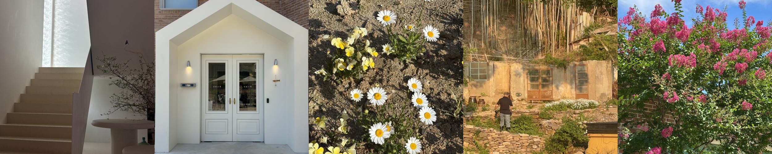 전주 카페 베스트 추천 리스트 TOP 10 전주 카페 베스트 추천 리스트 TOP 10