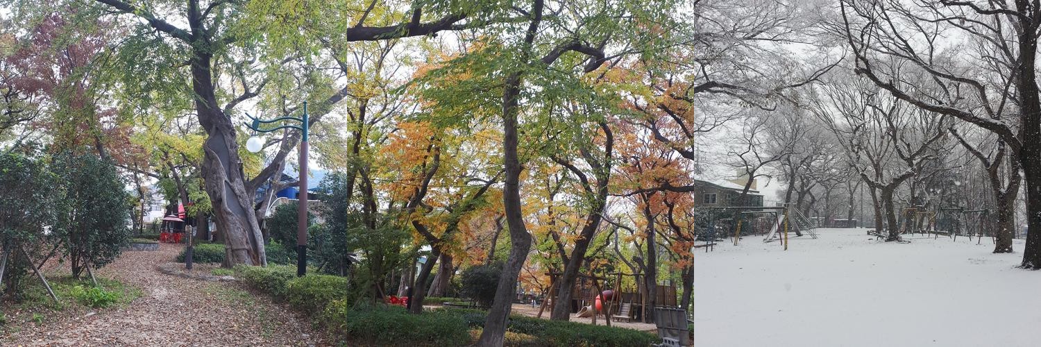 두구동 맛집 베스트 추천 리스트 TOP 10 두구동 맛집 베스트 추천 리스트 TOP 10