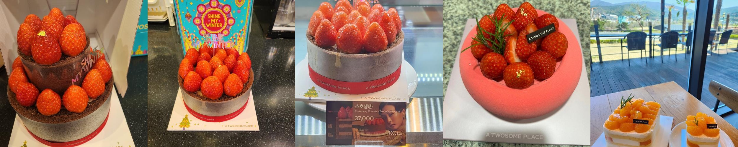 경주 보문단지 카페 베스트 추천 리스트 TOP 10