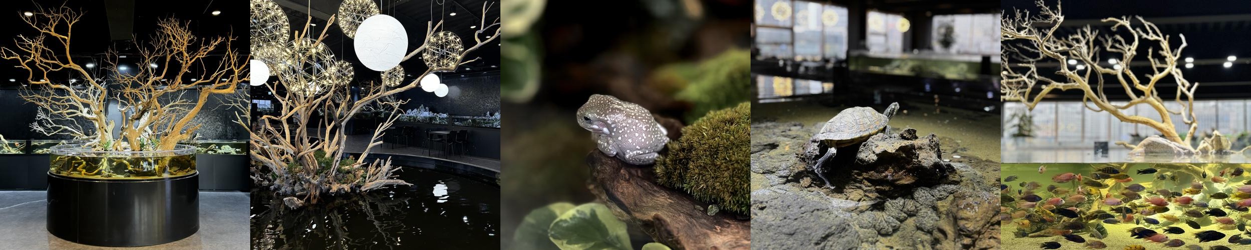 김포 카페 베스트 추천 리스트 TOP 10