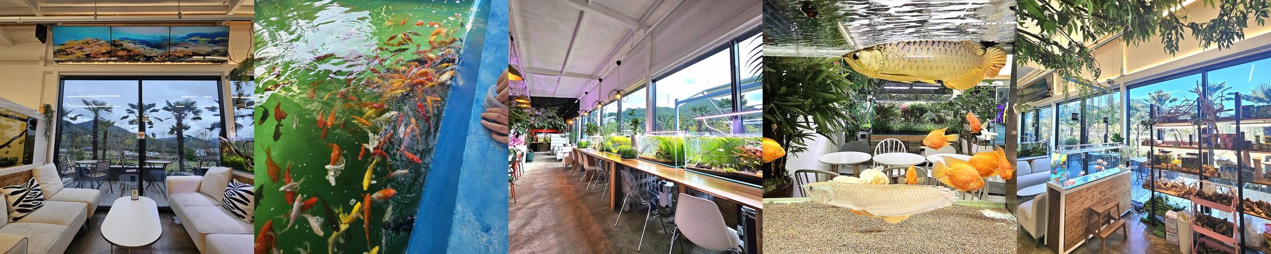 김해 주촌 카페 베스트 추천 리스트 TOP 10