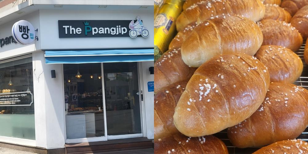 인천 동물 카페 베스트 추천 리스트 TOP 10