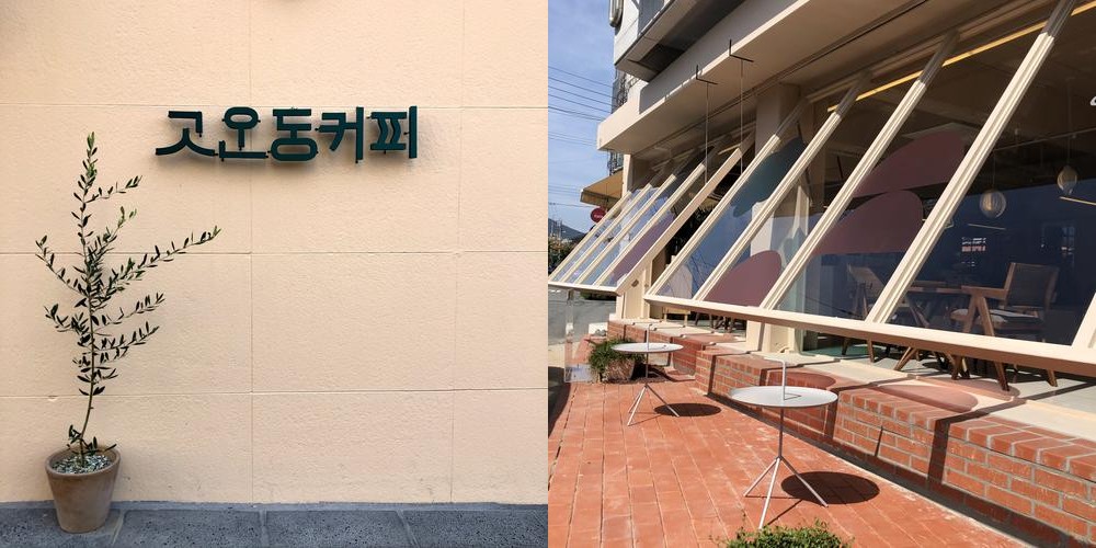 장유 율하 카페거리 베스트 추천 리스트 TOP 10