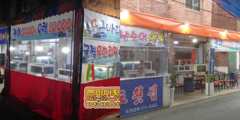 광주 우산동 맛집 베스트 추천 리스트 TOP 10