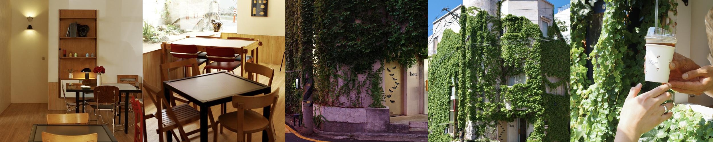 보테: 담쟁이로 뒤덮인 제주 노형의 매력적인 카페|제주공항 커피숍 추천 보테: 담쟁이로 뒤덮인 제주 노형의 매력적인 카페