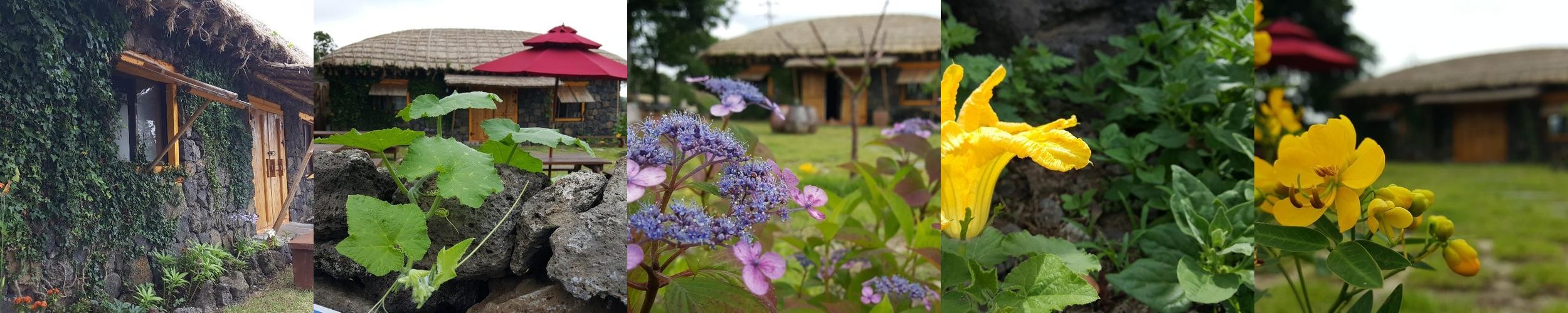 성읍 민속마을 맛집 베스트 추천 리스트 TOP 10 성읍 민속마을 맛집 베스트 추천 리스트 TOP 10