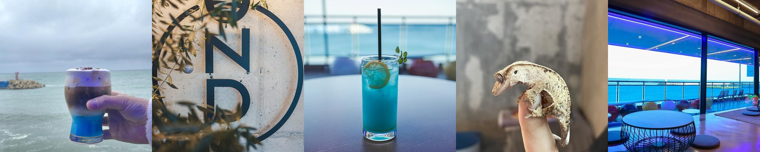 속초 바다 카페 베스트 추천 리스트 TOP 10