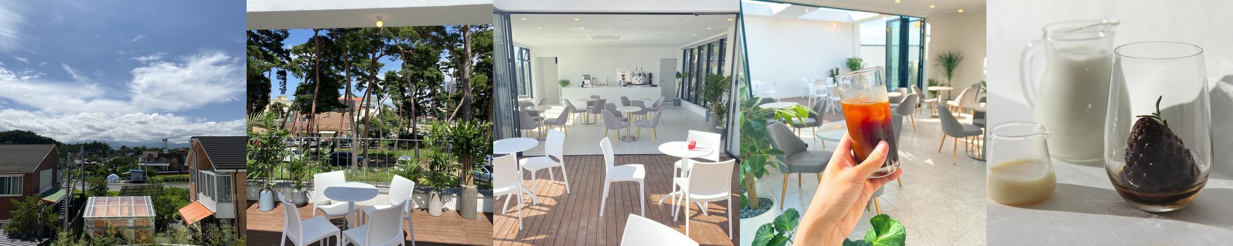 강릉 안목해변 맛집 베스트 추천 리스트 TOP 10