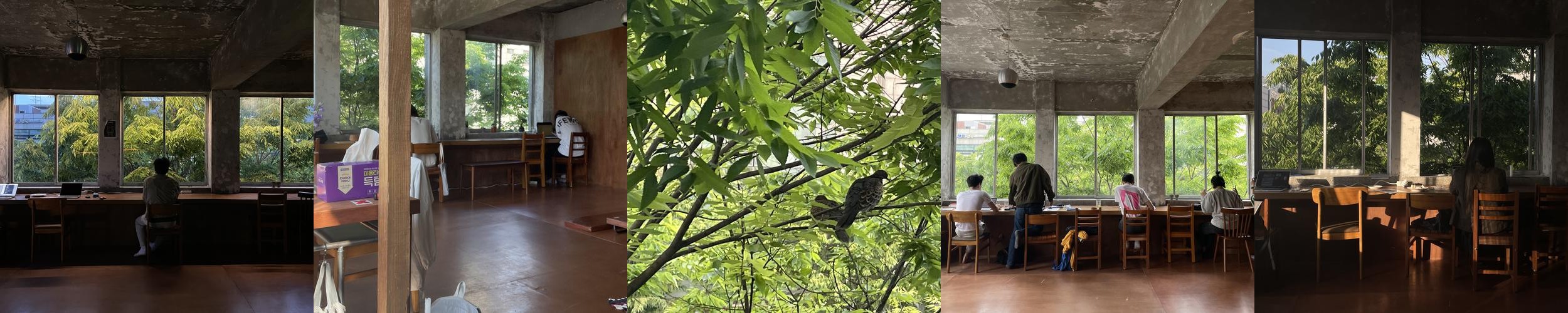 망원동 카페 베스트 추천 리스트 TOP 10