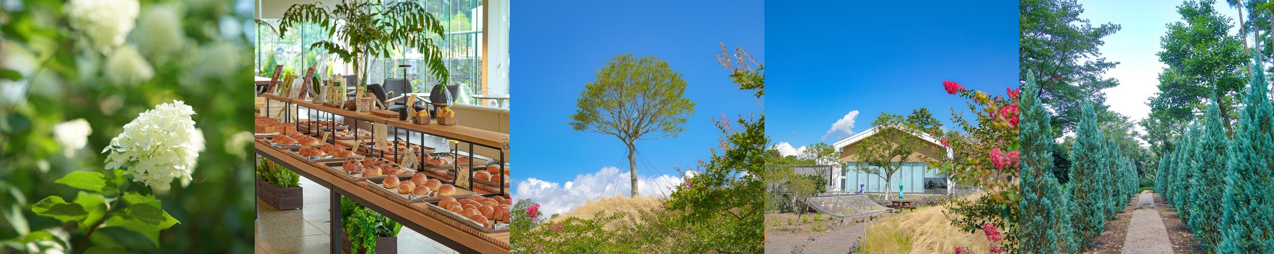 제주 아라동 카페 베스트 추천 리스트 TOP 10