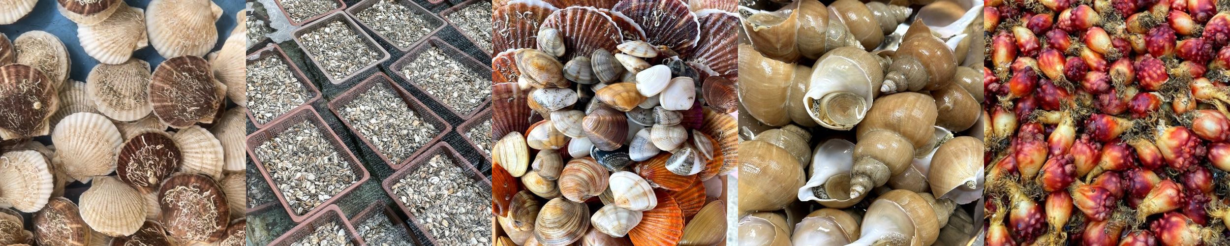 후포면 맛집 베스트 추천 리스트 TOP 10