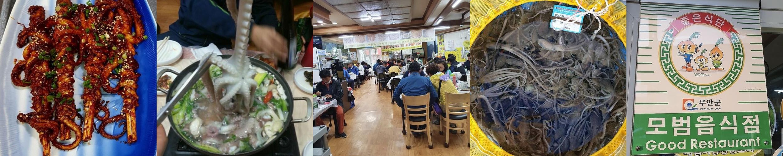 무안 낙지 맛집 베스트 추천 리스트 TOP 10