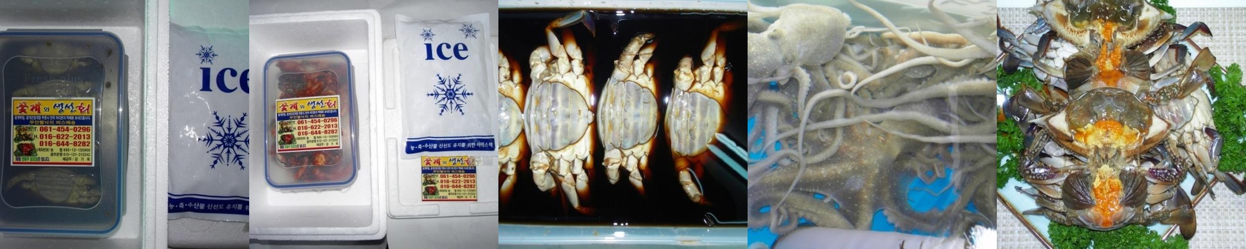 무안 낙지 맛집 베스트 추천 리스트 TOP 10