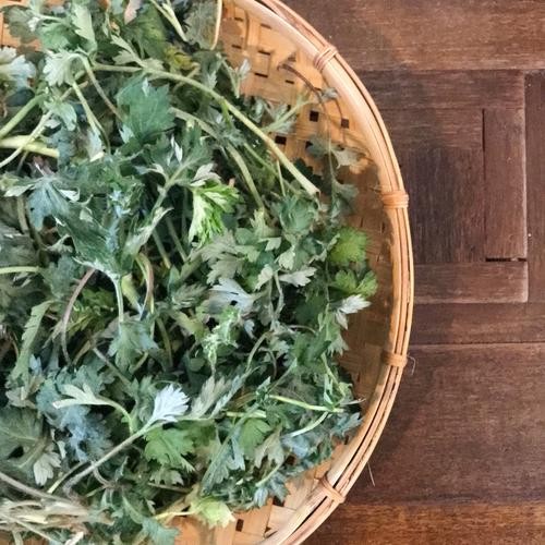 부산 중앙역 맛집 베스트 추천 리스트 TOP 10