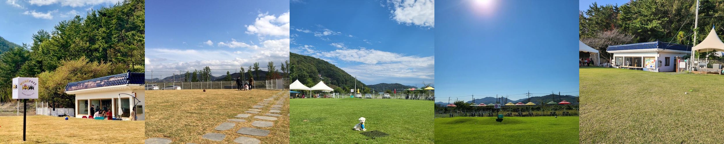 한림 카페 베스트 추천 리스트 TOP 10 한림 카페 베스트 추천 리스트 TOP 10