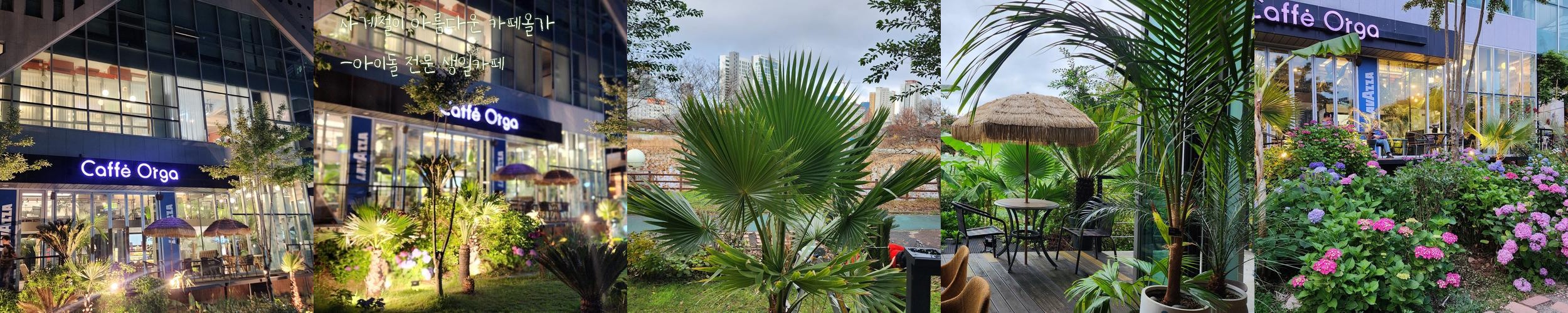 광주 이색 카페 베스트 추천 리스트 TOP 10