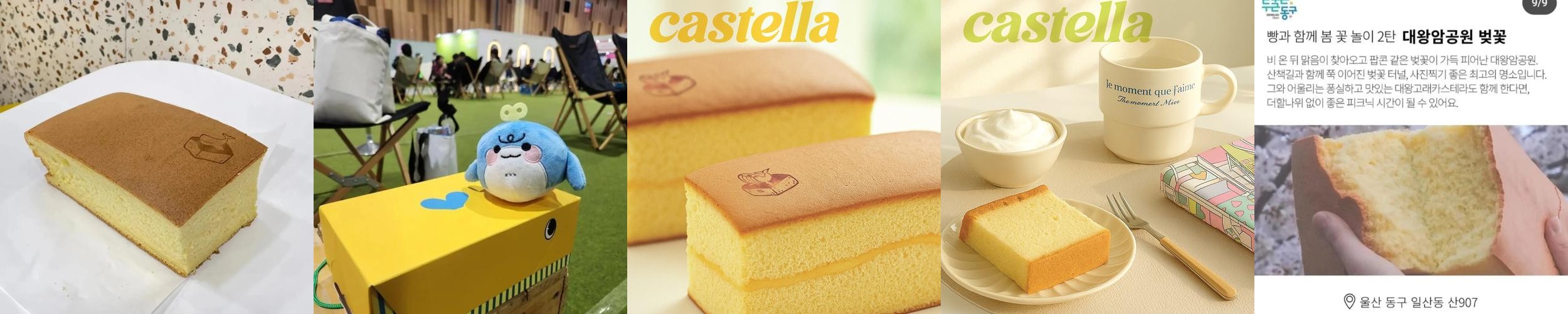 울산 동구 카페 베스트 추천 리스트 TOP 10 울산 동구 카페 베스트 추천 리스트 TOP 10