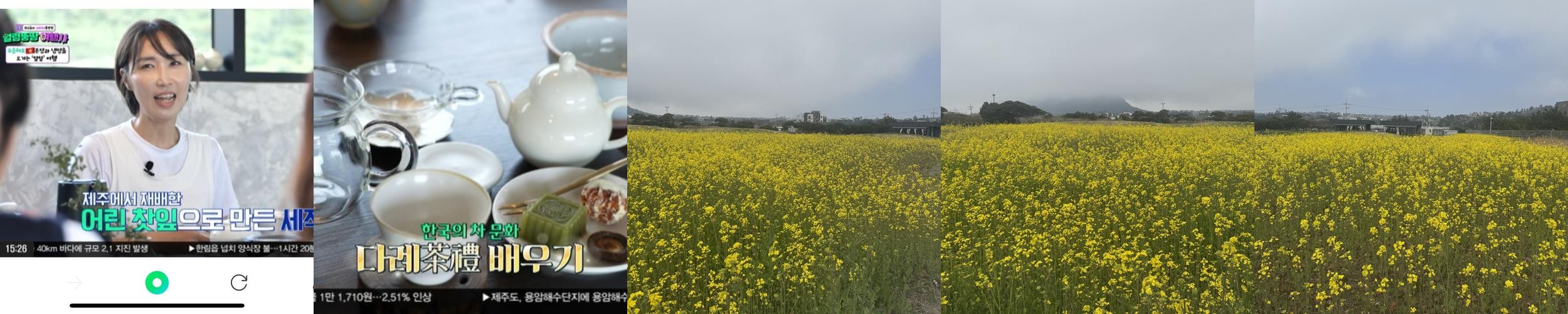 산방산 카페 베스트 추천 리스트 TOP 10