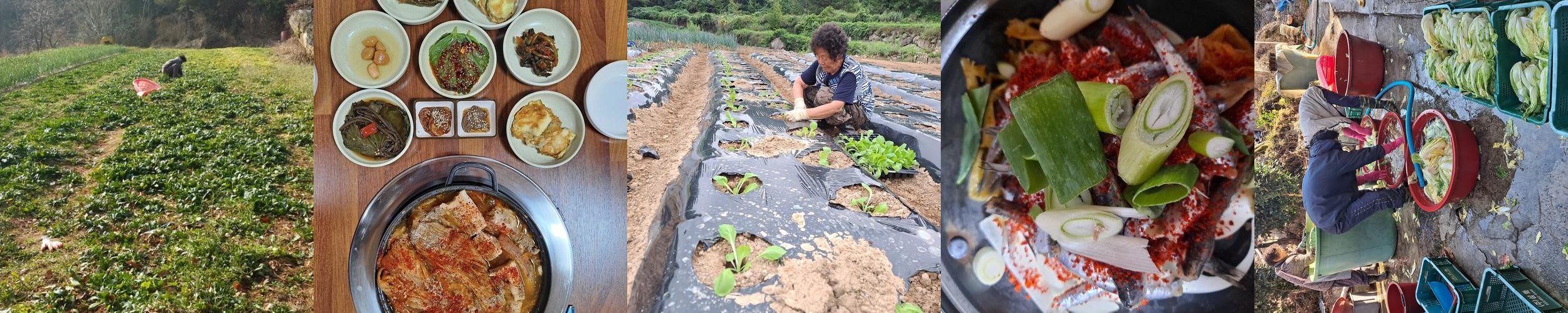남해 맛집 베스트 추천 리스트 TOP 10