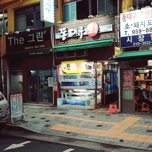 대구 북구 물회 베스트 추천 리스트 TOP 10