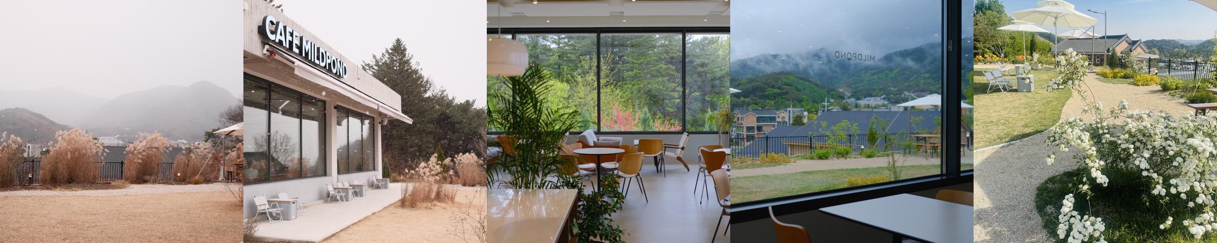 제천 베이커리 카페 베스트 추천 리스트 TOP 10