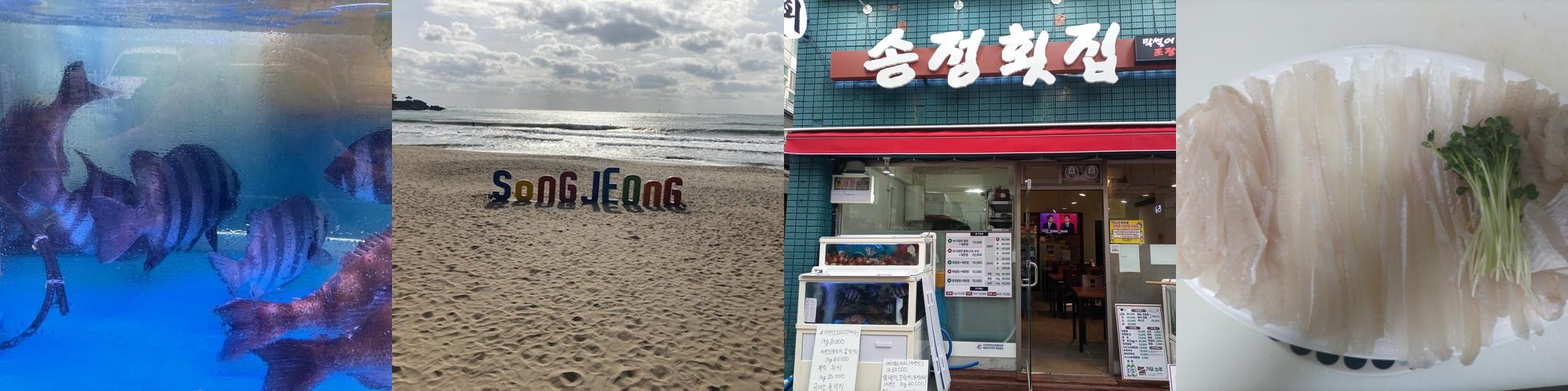 부산 송정 횟집 베스트 추천 리스트 TOP 10 부산 송정 횟집 베스트 추천 리스트 TOP 10